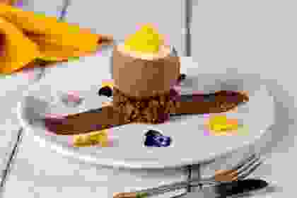 COCONAT