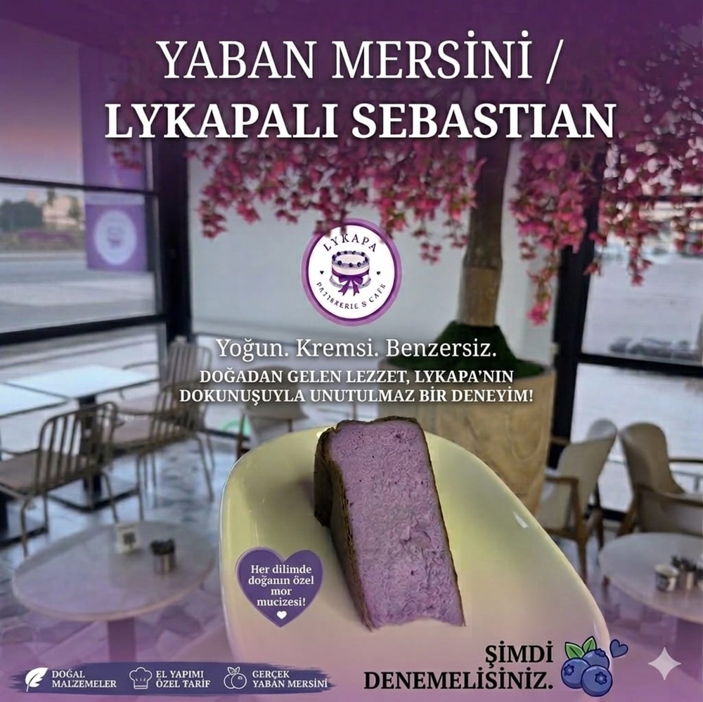 SAN SEBASTIAN - YABAN MERSİNLİ
