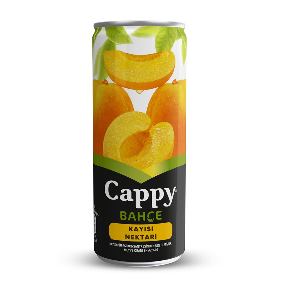 CAPPY KAYISI