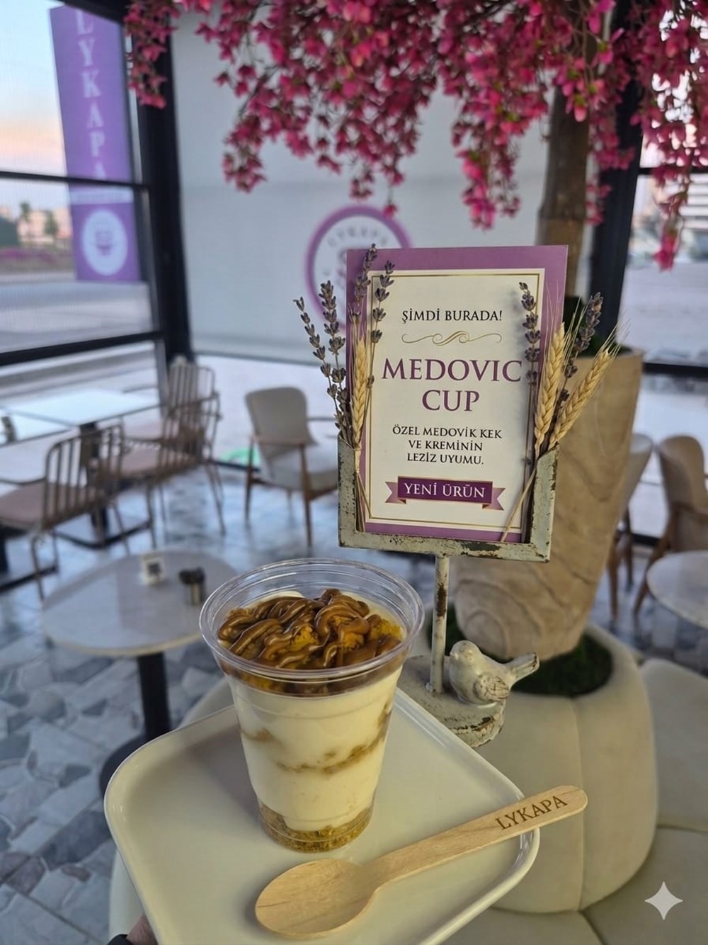 MEDOVİK CUP
