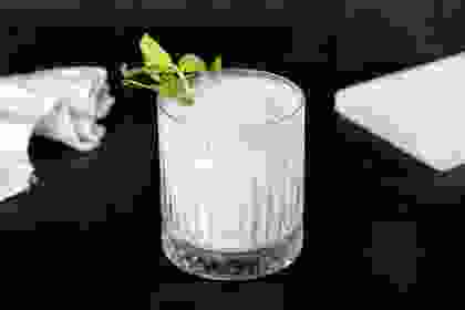 FESLEĞENLİ AYRAN