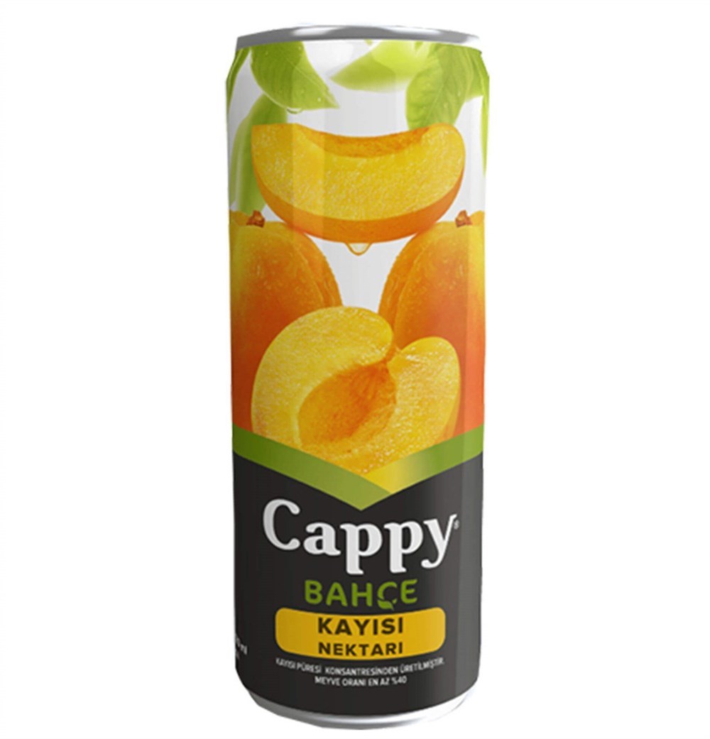 CAPPY KAYISI
