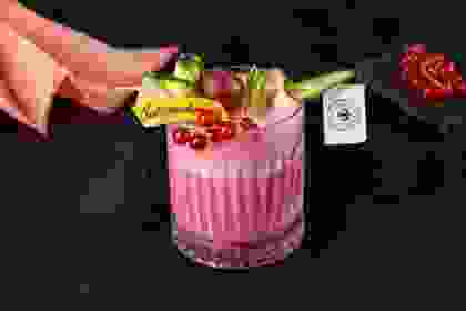 PINK SIESTA
